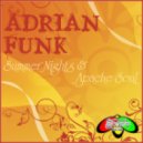 Adrian Funk - Summer Nights