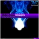 Stefan Anion - Strangers