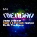 Mensah & Noah D - Kashmir (Original Mix)