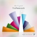 Shant, Jerard - Peacock - Ben Coda Remix ()