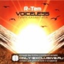 R-Tem - R-Tem - Voiceless (Dave Shtorn Remix)