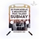 DJ Funkadelic & Beauriche Feat Taleen - Subway ()