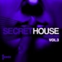 Josh The Funky 1 - Rock To The Beat - Alex Salvador & Sebastien Lintz Remix ()