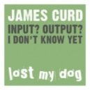 James Curd - Left The Ground (feat Ziggy Franklin - instrumental mix)