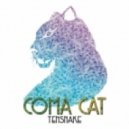 Tensnake - Need Your Lovin (Original Version)