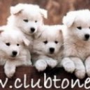 Dim Chris, Amanda Wilson - Sometimes - Dim Chris Remix ()