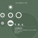 T.R.O. - Ginnie (UnderThis Remix)
