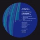 Cosmic Cowboys & Echonomist - Need To Know (Karol XVII & MB Valence Loco Mix)