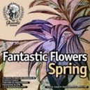 Fantastic Flowers - Midnight Express