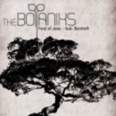 The Botaniks ft. Bernhoft - Fond of Jane