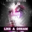 A Brain - Like a Dream