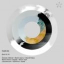 Florian Meindl - The Way It Took Us (Fabian Feynman Remix)