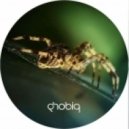 Roman Gertz - Cork Wrap