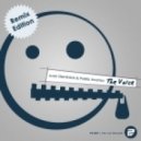 Juan Deminicis & Pablo Acenso - The Voice (Gabriel Marchisio Remix)