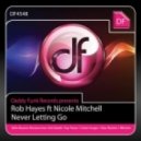 Rob Hayes feat. Nicole Mitchell - Never Letting Go