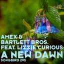 Amex & Bartlett Bros. feat Lizzie Curious - A New Dawn - Tempo Giusto Remix ()