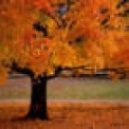 DJ Sonar - Liquid funk 2011