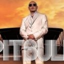 RJ Feat Pitbull - U Know Ain\'t Love (David May Original Extended Mix)