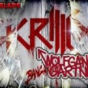 Skrillex & Wolfgang Gartner - Devil\'s Den (Redial\'s Drumstep Orgy Remix)