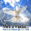 Peat Jr & Trianon DJ's Feat. Gina - Mint A Madár