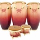 DJ Sverdlovskiy - Planet Bongo Conga