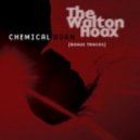 The Walton Hoax - Chemical Burn (ENiGMA Dubz Remix)
