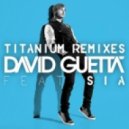 David Guetta ft. Sia - Titanium (Stefano Liz Lisai Remix)