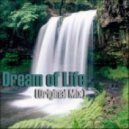 Nikita Marasey - Dream of Life