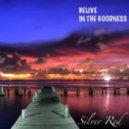 Silver Red - Believe in The Goodness (chillout mix) 2012-01-30 ()