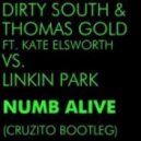 Dirty South & Thomas Gold vs.Linkin Park - Numb Alive (Cruzito Bootleg)