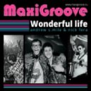 Maxigroove - Wonderful Life