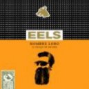 Eels - That Look You Give That Guy
