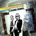 Shantel - Disco Partizani (S.Shine Remix)