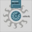 Rennie Foster - Devil\'s Water (Crypt remix)