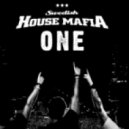 Gotye & Swedish House Mafia - One I Used To Know