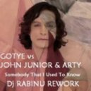 Gotye vs John Junior & Arty - Somebody That I Used To Know (Dj Rabinu Rework)