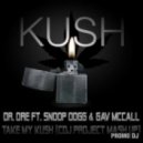 Dr. Dre ft. Snoop Dogg & Gav McCall - Take My Kush (CDJ Project Mash Up)