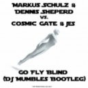 Markus Schulz & Dennis Sheperd vs. Cosmic Gate & Jes - Go Fly Blind (DJ Mumbles Bootleg)