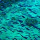 dj Juxtapose[q] - House#0015