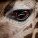 Dj Alwacker - New Hope