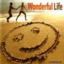 MaxiGroove - Wonderful Life