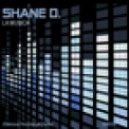 Shane D feat. Kerry Wood - Silence (D\'s Broken Soul Dub)