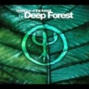 Deep Forest - Mangbetu Girl (Martin Mittone Remix)