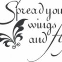 Chiorescu Fedee - Spring Your Wings And Fly