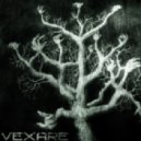 Vexare - Lanterns (feat. Sarah Howells)