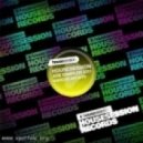 Edhim, Roger Slato vs Fedde Le Grand - More feat. Trarius (Dj Maxim Chel Mashup)