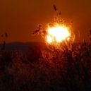 Quardo Rossi - Bright Ideas