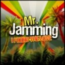 Mr. Jamming - I Found The Love