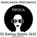 Pipoca - Margarida Perfumada