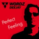 Wordz Deejay - Perfect Feeling